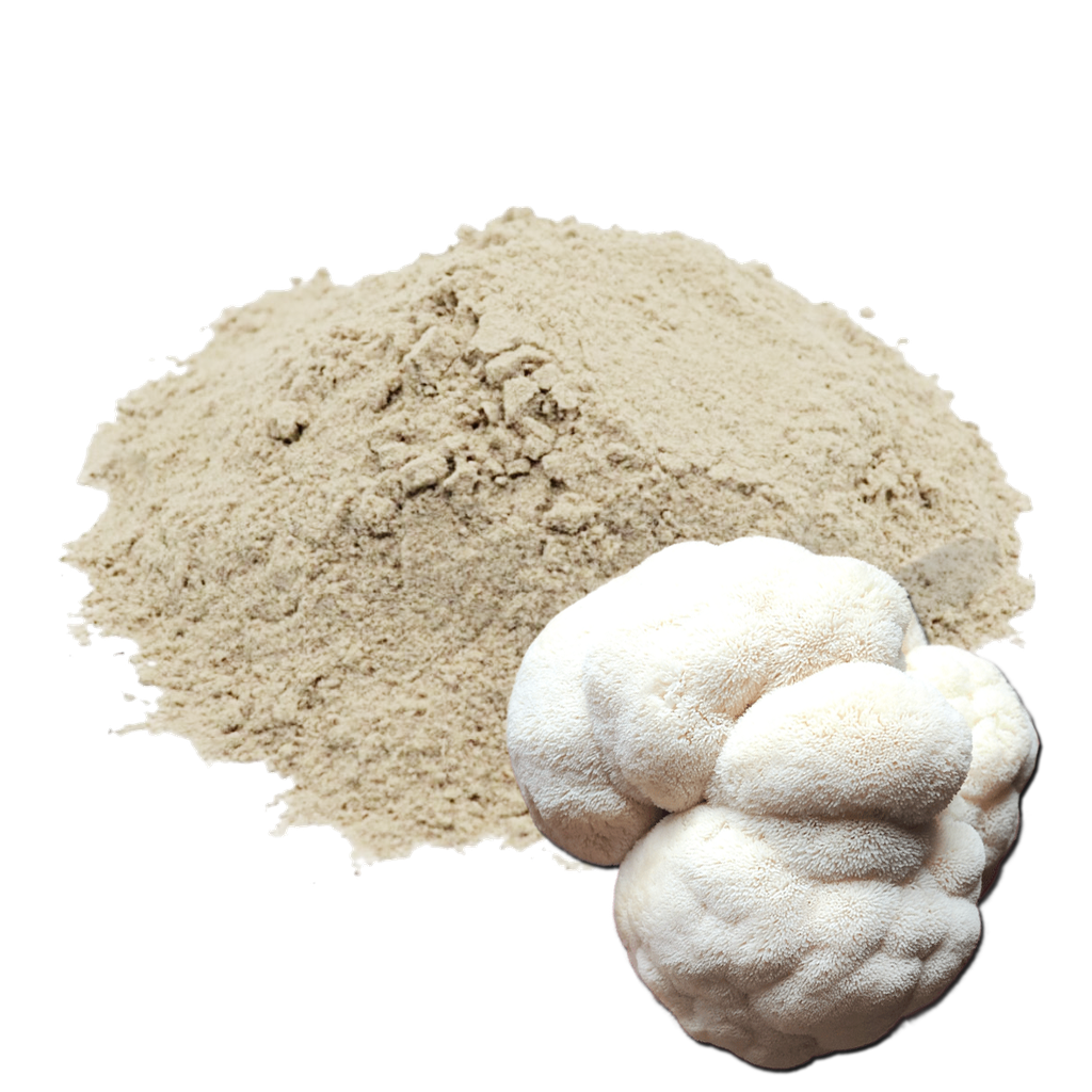 Melena de León en Polvo 50g