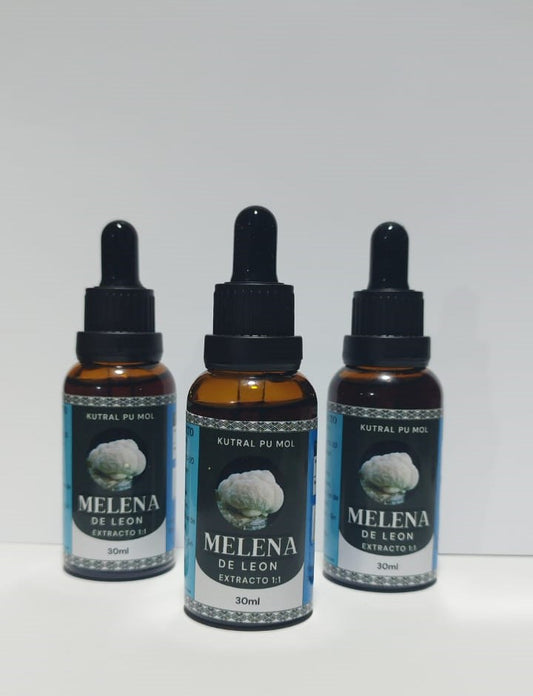 Tripack Extracto Melena de León 30ml (3 meses)