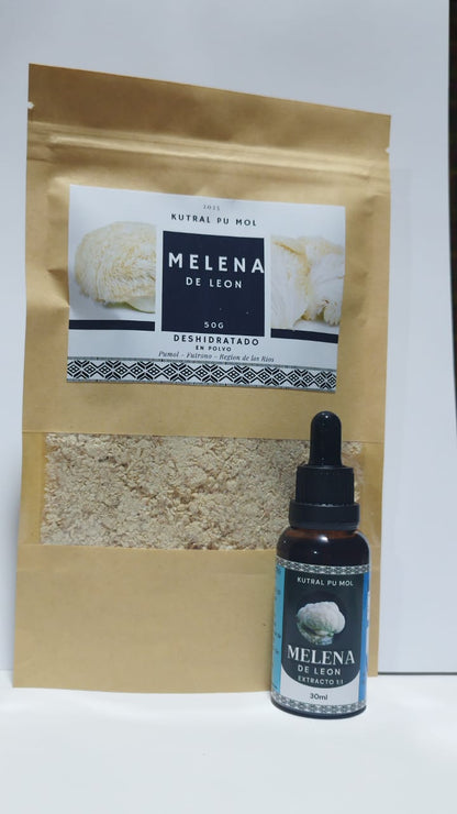 Pack Melena de León ( Extracto + Polvo ) 1 Mes